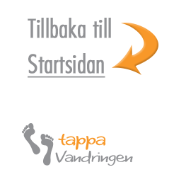 Tillbaka till startsidan